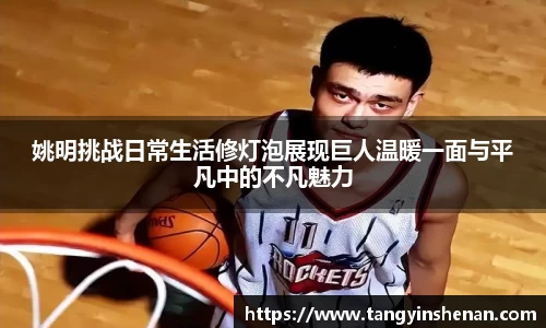 姚明挑战日常生活修灯泡展现巨人温暖一面与平凡中的不凡魅力