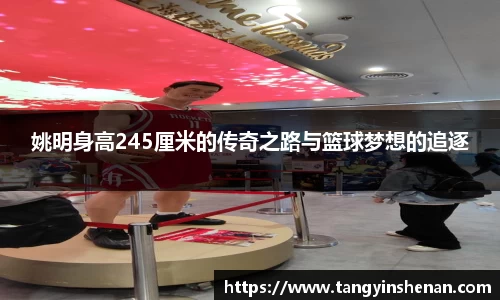 姚明身高245厘米的传奇之路与篮球梦想的追逐