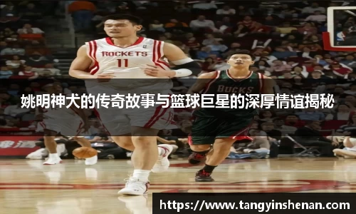 k1体育官网