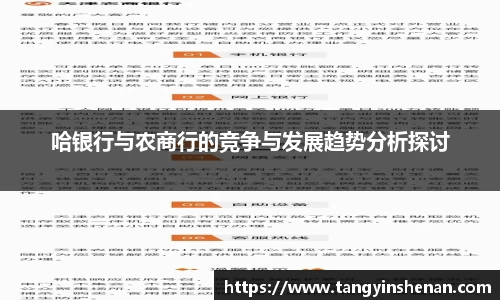哈银行与农商行的竞争与发展趋势分析探讨